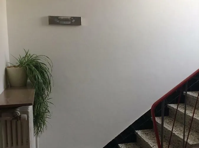 Chez Tony * שטראסן